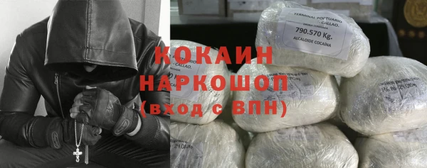 спайс Гусев