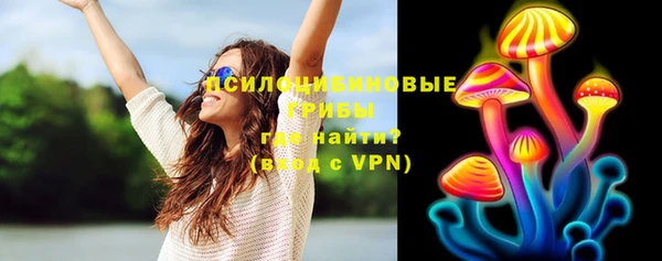 мяу мяу мука Горняк