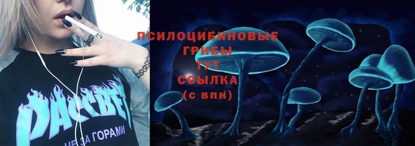 мяу мяу мука Горняк