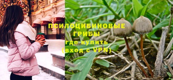гашик Горнозаводск