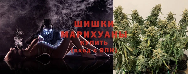 спайс Гусев
