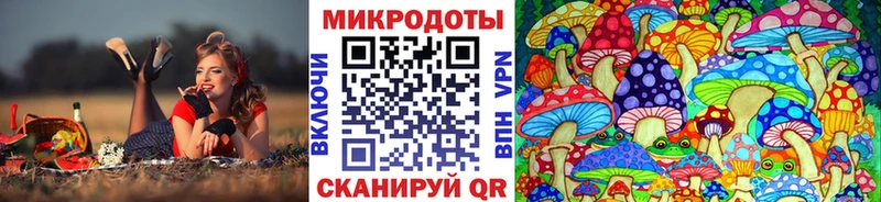 Галлюциногенные грибы Psilocybine cubensis  Купить где  Павловск 