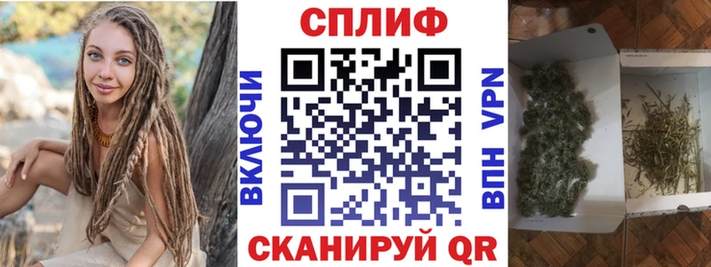 Шишки марихуана THC 21%  Купить закладки  Павловск 